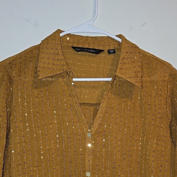 Colleen Lopez Brown Casual Button Down Shirt Relaxed Fit - Picture 2 of 6